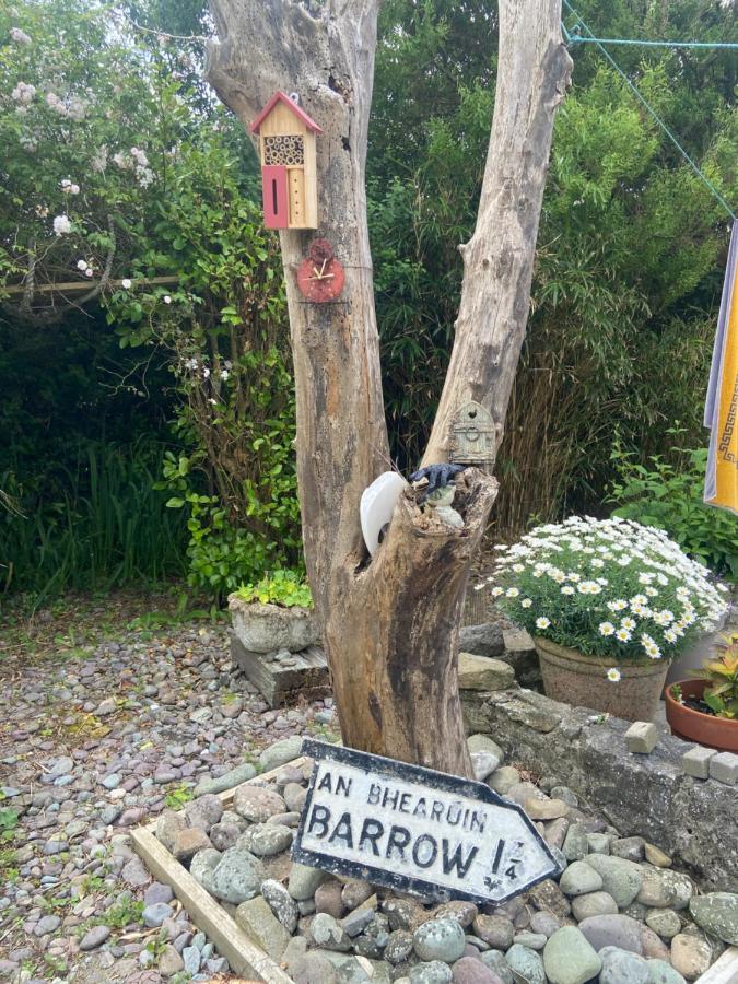 Barrow Harbour Studio Apartment トラリー エクステリア 写真